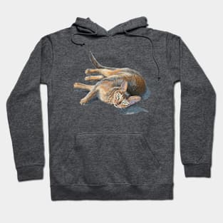 Abyssinian cat lying Hoodie